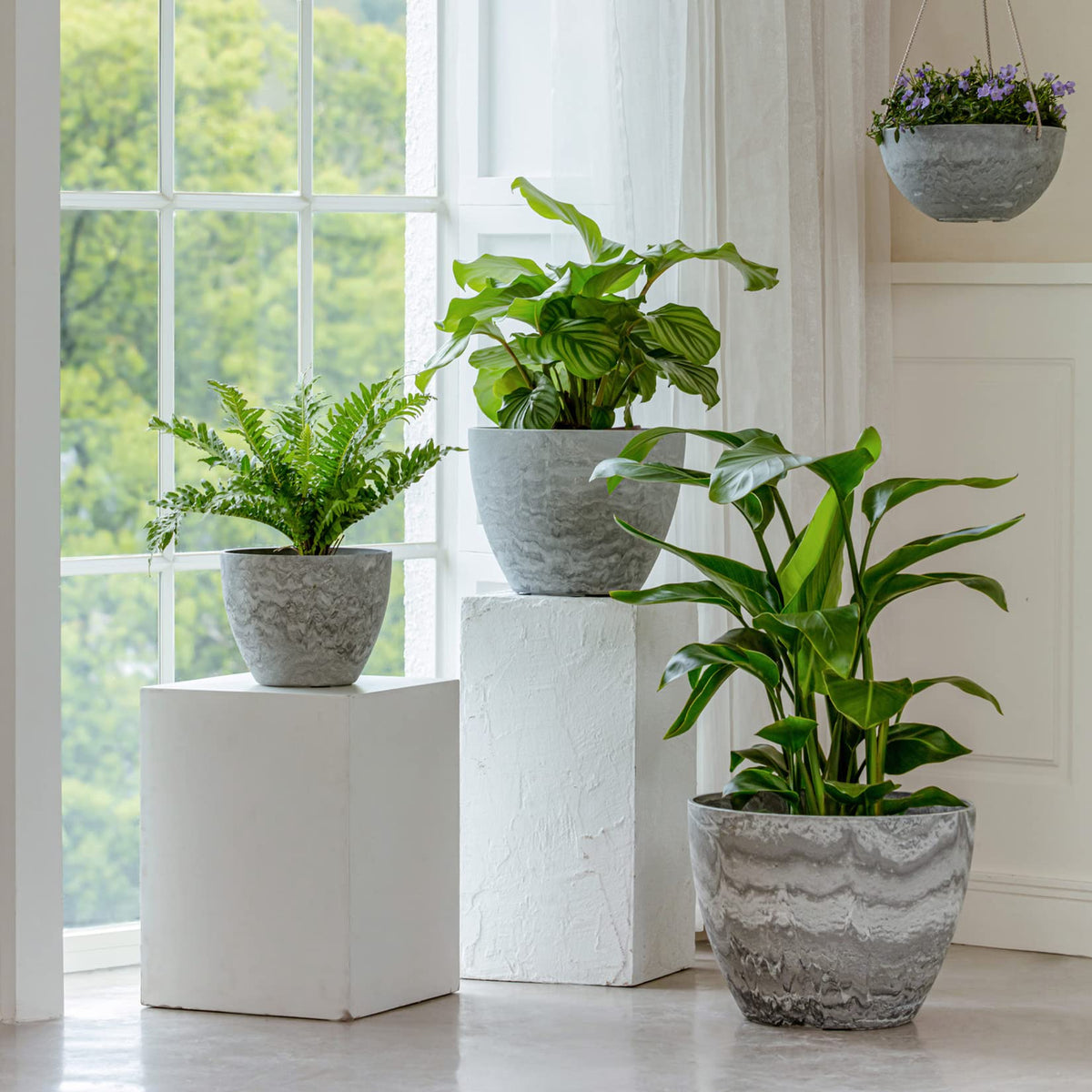 LA JOLIE MUSE pothos friendly planters encourage healthy indoor greenery