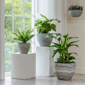 LA JOLIE MUSE pothos friendly planters encourage healthy indoor greenery