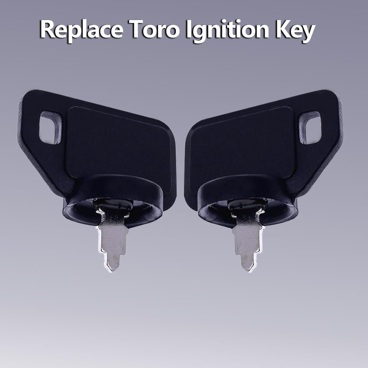 La Macaza Toro keyrings set: convenient TORO keychain for garage or shed organization