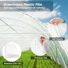 Laapee all-weather greenhouse film shields crops from snow and rain during harsh seasons.