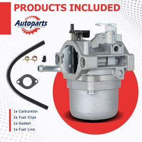 Labwork carburetor for Briggs Stratton 310000 vertical crank engines supports reliable startup.