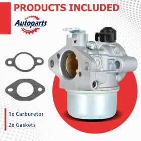 Labwork Kohler carburetor kit with gaskets ready for replacement