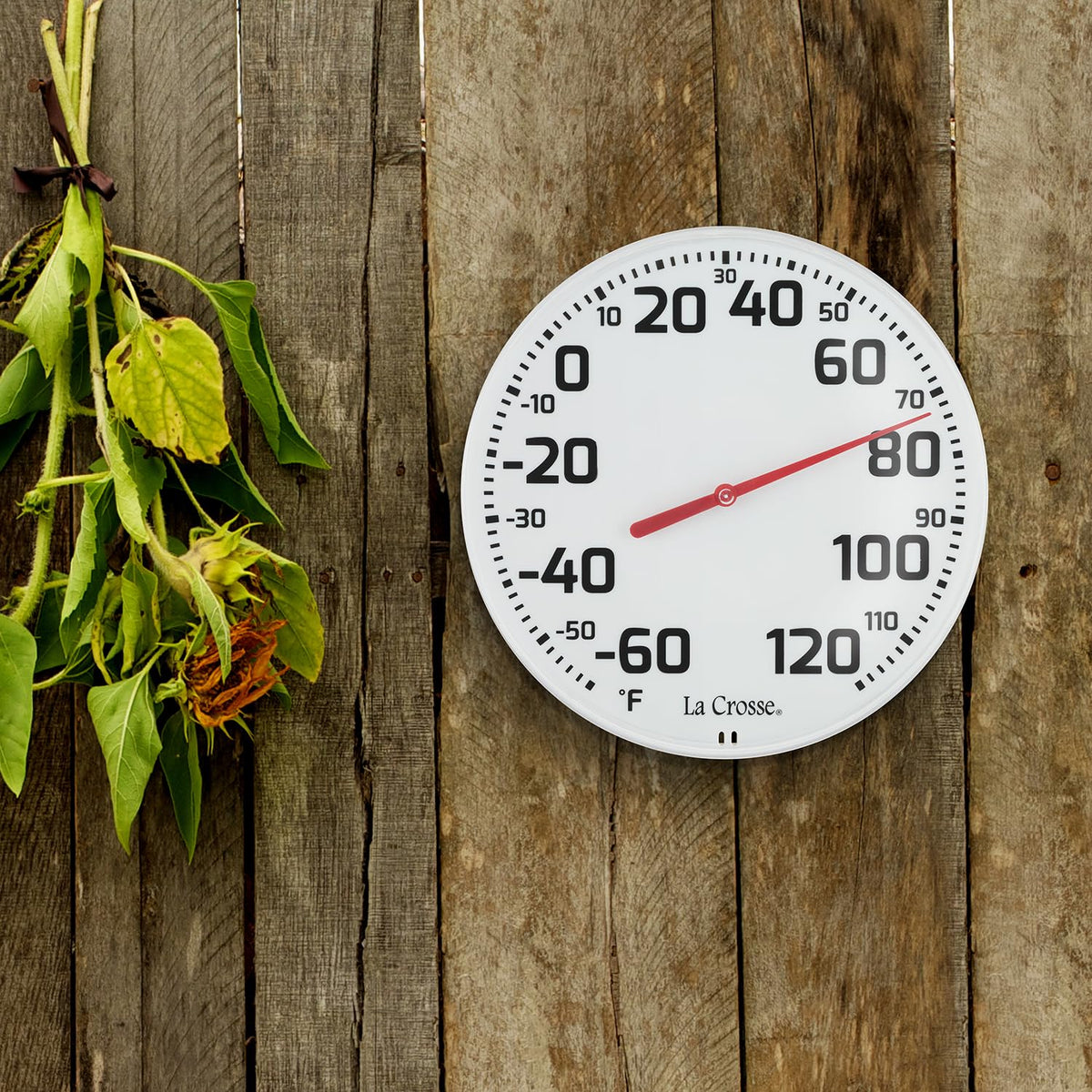 La Crosse 8-inch dial reads down to -60°F for versatile climate tracking.