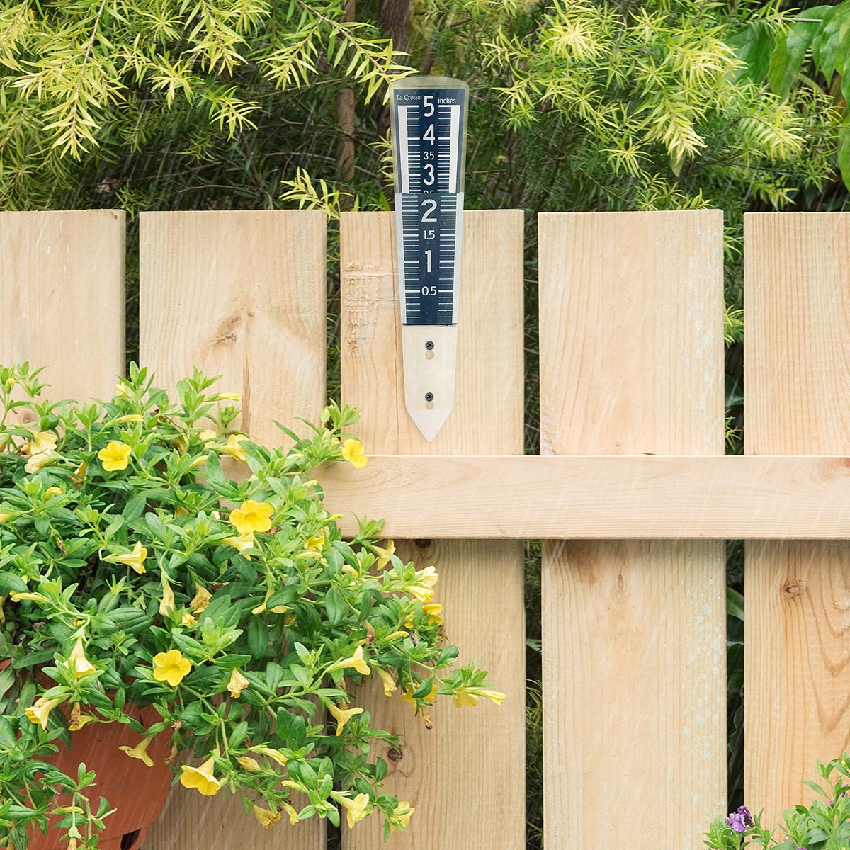 La Crosse rain gauge with five-inch capacity tracks rainfall amounts.