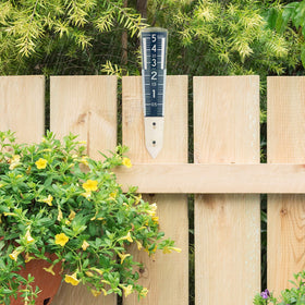La Crosse rain gauge with five-inch capacity tracks rainfall amounts.