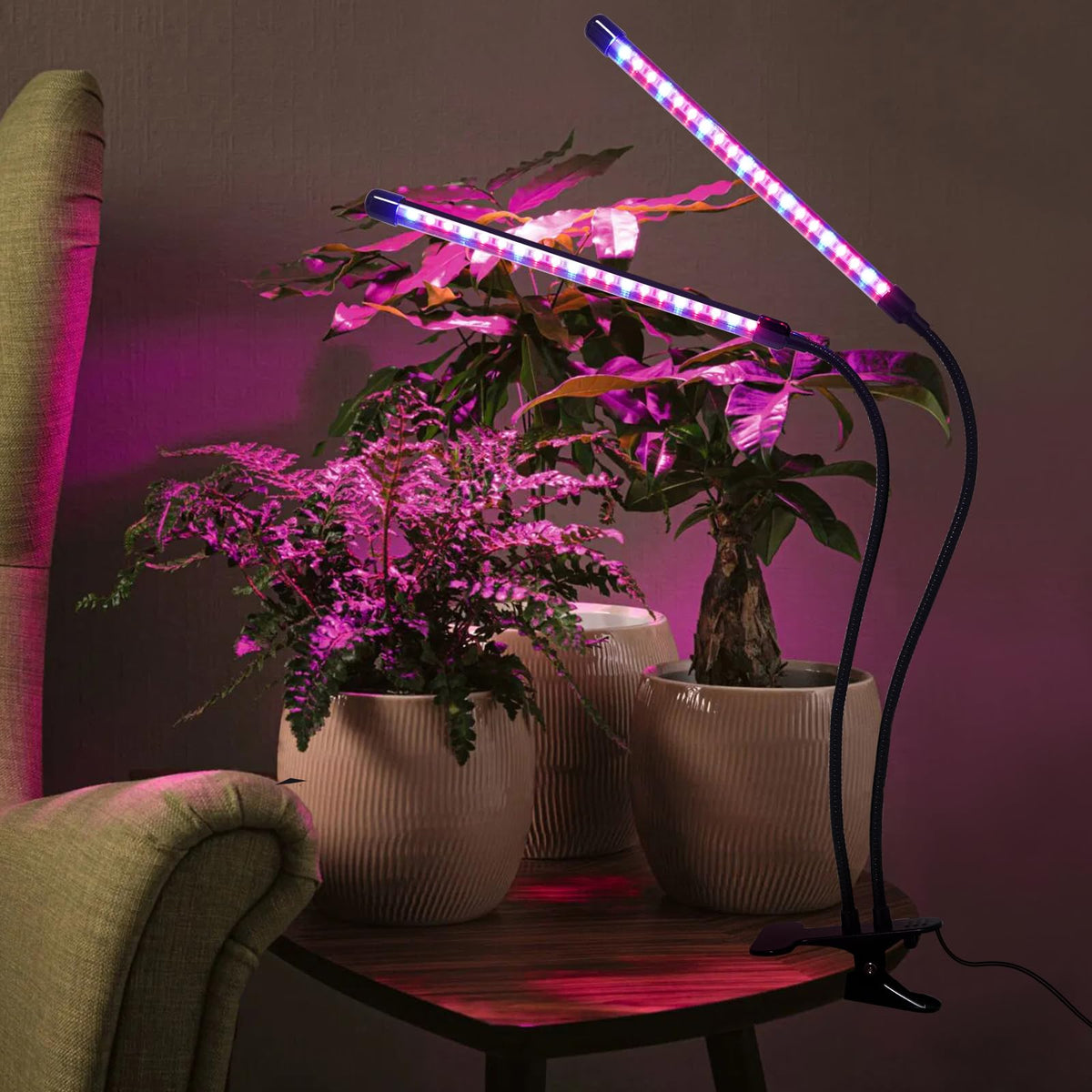 Ladate long cord supports outdoor solar panel placement while keeping lights indoors.