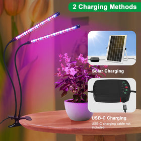 Ladate red-blue spectrum LEDs support plant growth from germination to flowering.