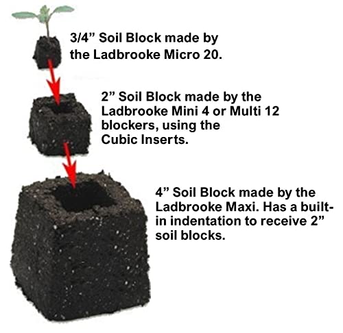 Ladbrooke 3/4-inch blocks ready for fine seed sowing.