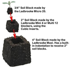 Ladbrooke 3/4-inch blocks ready for fine seed sowing.