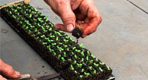 Ladbrooke cubic inserts compatible for upgrading to larger soil blocks.