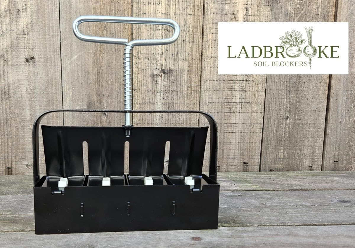 Ladbrooke Mini 4 with seed dimple preformed in each block for easy sowing.