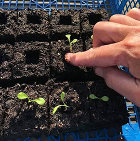 Ladbrooke pot-less blocks promote an eco-friendly start.