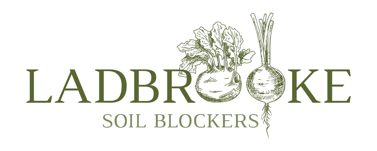 Ladbrooke soil blocks support healthy roots by direct soil planting.