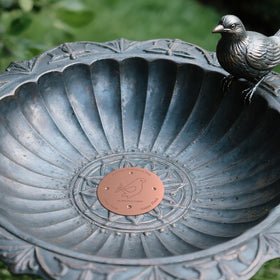 Laddatz copper bird bath disc duo in pack, ready for immediate use.