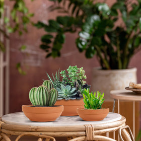 Laerjin terracotta pot showing crack resistance design