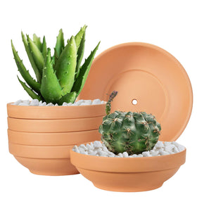 Laerjin terra cotta pot with 6.43-inch diameter for seedling and small plants