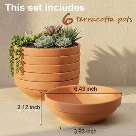 Laerjin pot showing drainage hole for healthy root growth