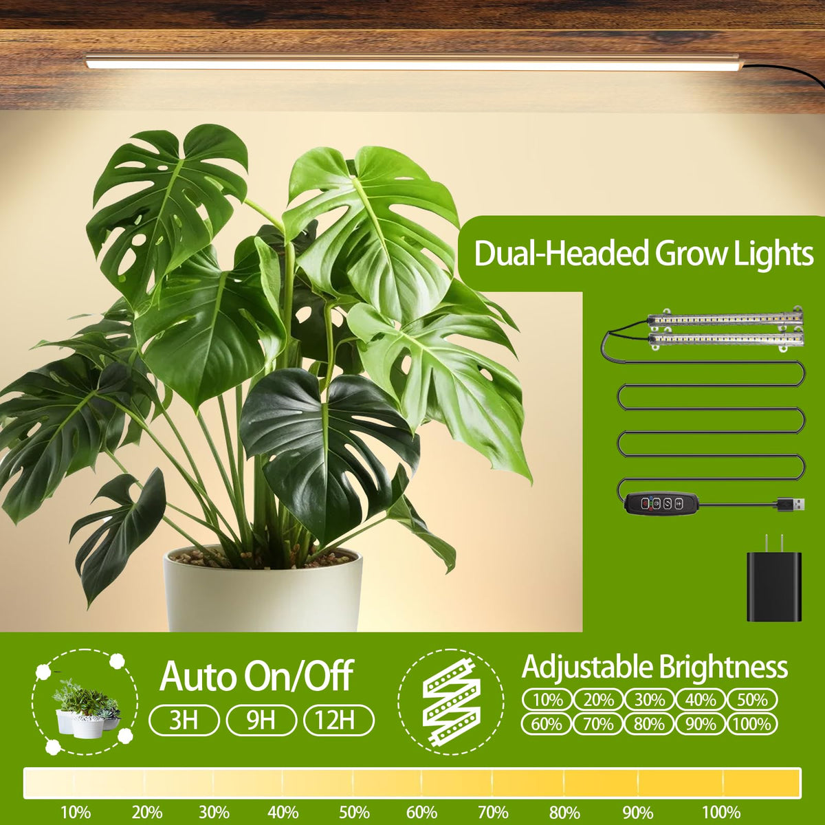 LAIDUOLEOE heavy-duty iron frame provides sturdy plant support