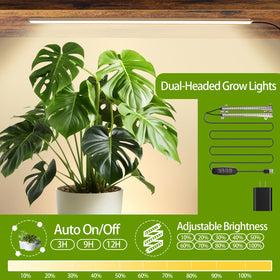 LAIDUOLEOE heavy-duty iron frame provides sturdy plant support