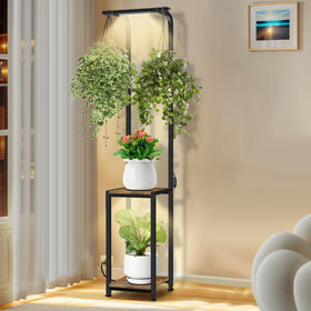 LAIDUOLEOE plant stand with grow lights top view, showing organized display