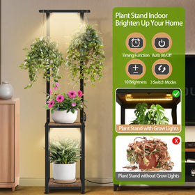 LAIDUOLEOE 65-inch stand tall with two shelves for vertical display