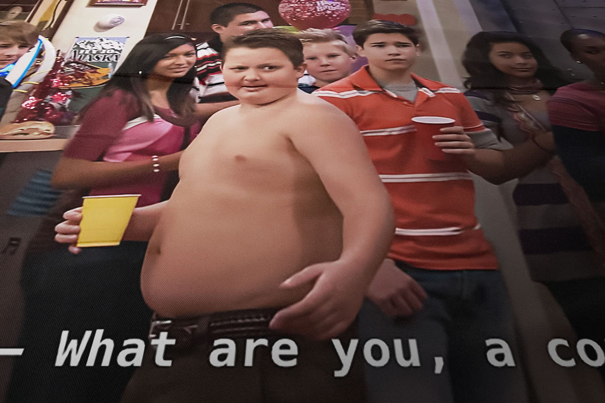 LAIX Gibby What Are You A Cop flag shows high-definition image
