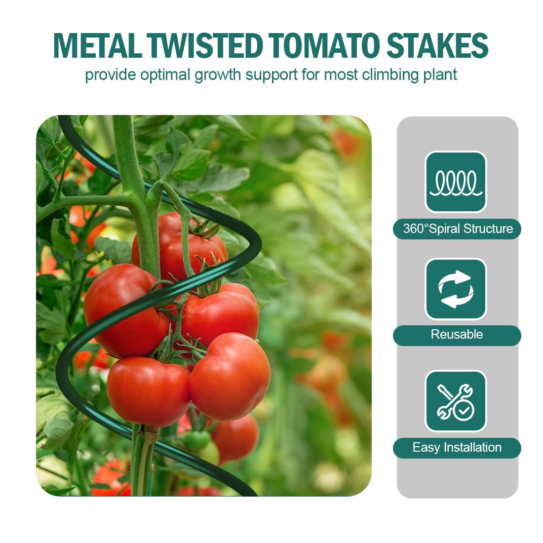 LAKNUAL climbing plant stake suitable for tomatoes, peas, and cucumbers