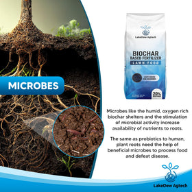 LAKEDEW Biochar Lawn Fertilizer spread image shows even coverage for lawn feeding
