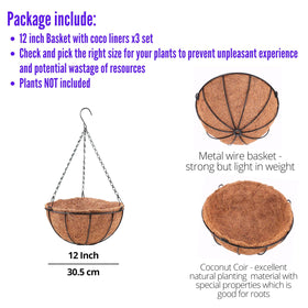 LáLáGreen rustic wire hanger and chain shown with 12-inch planters.