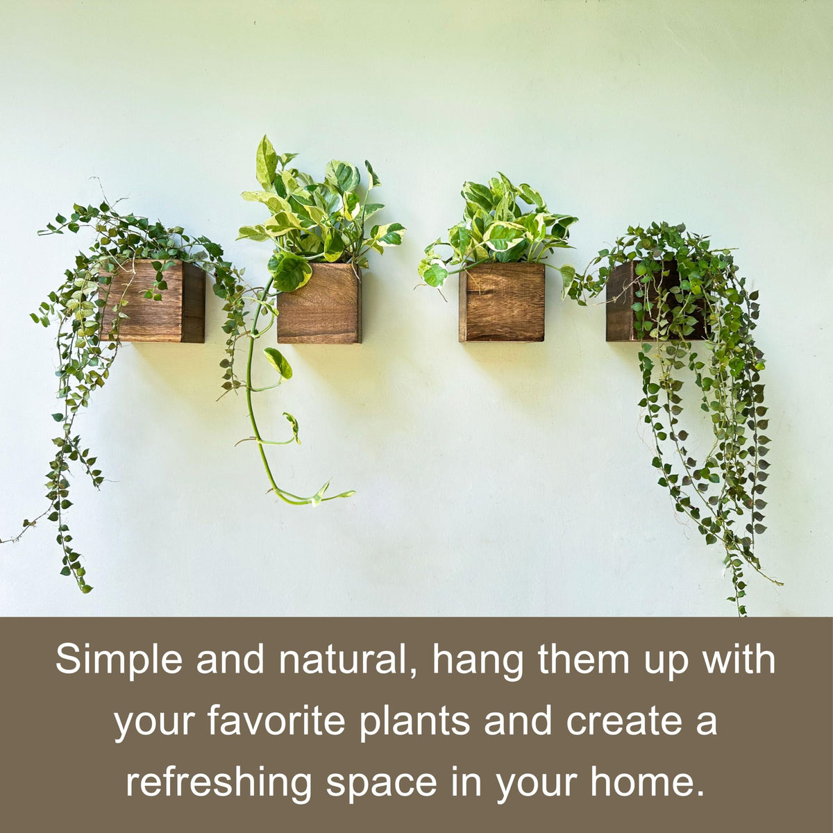 LáLáGreen durable lightweight planter box easy to handle