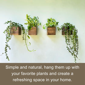 LáLáGreen durable lightweight planter box easy to handle