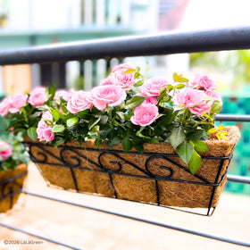LáLáGreen liner placed in a wall-mounted hanging basket with plants.