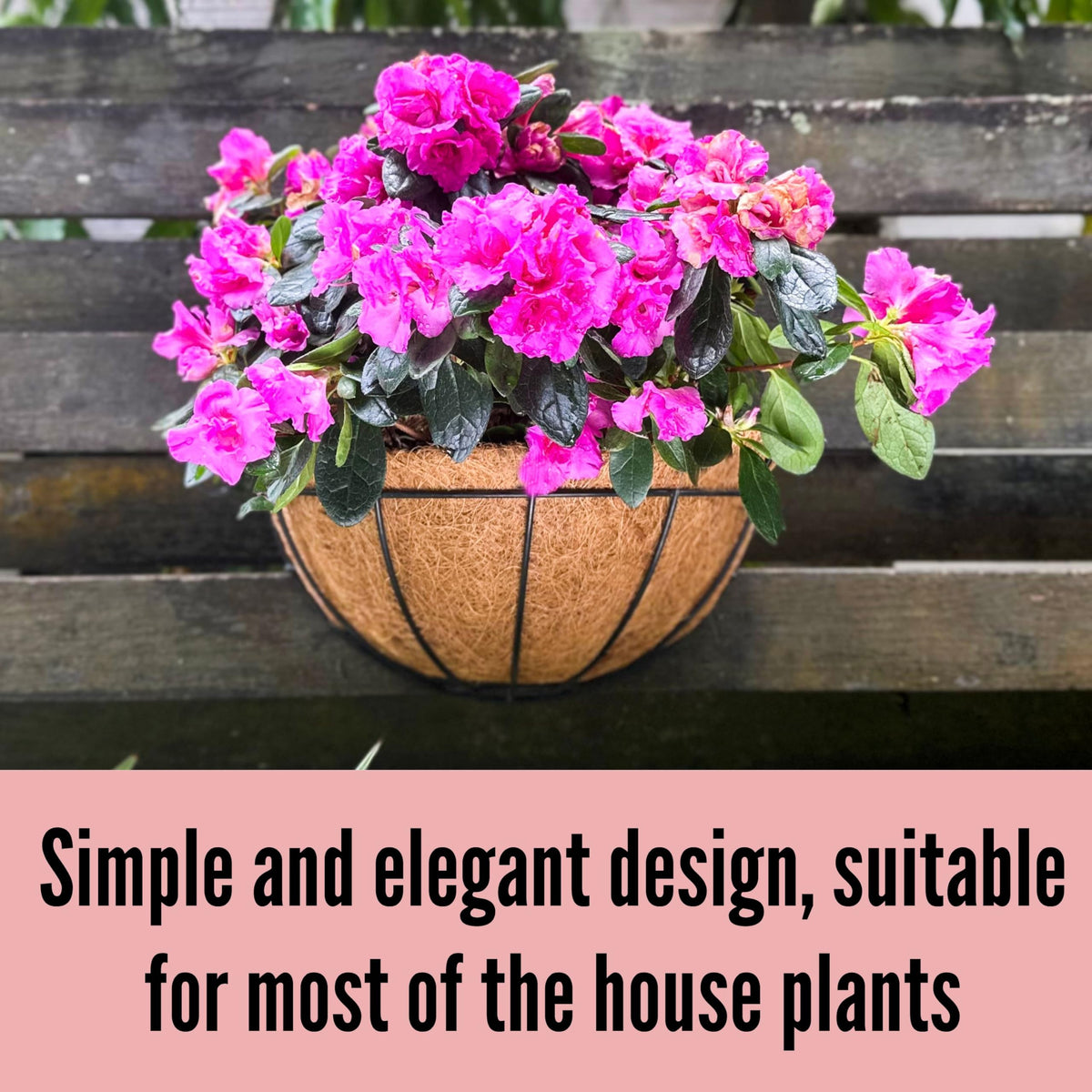 LáLáGreen wall planter suitable for indoor or outdoor display, versatile decor.