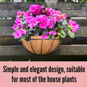 LáLáGreen wall planter suitable for indoor or outdoor display, versatile decor.