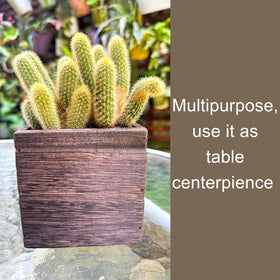 LáLáGreen rustic decor planter box complements vintage setups