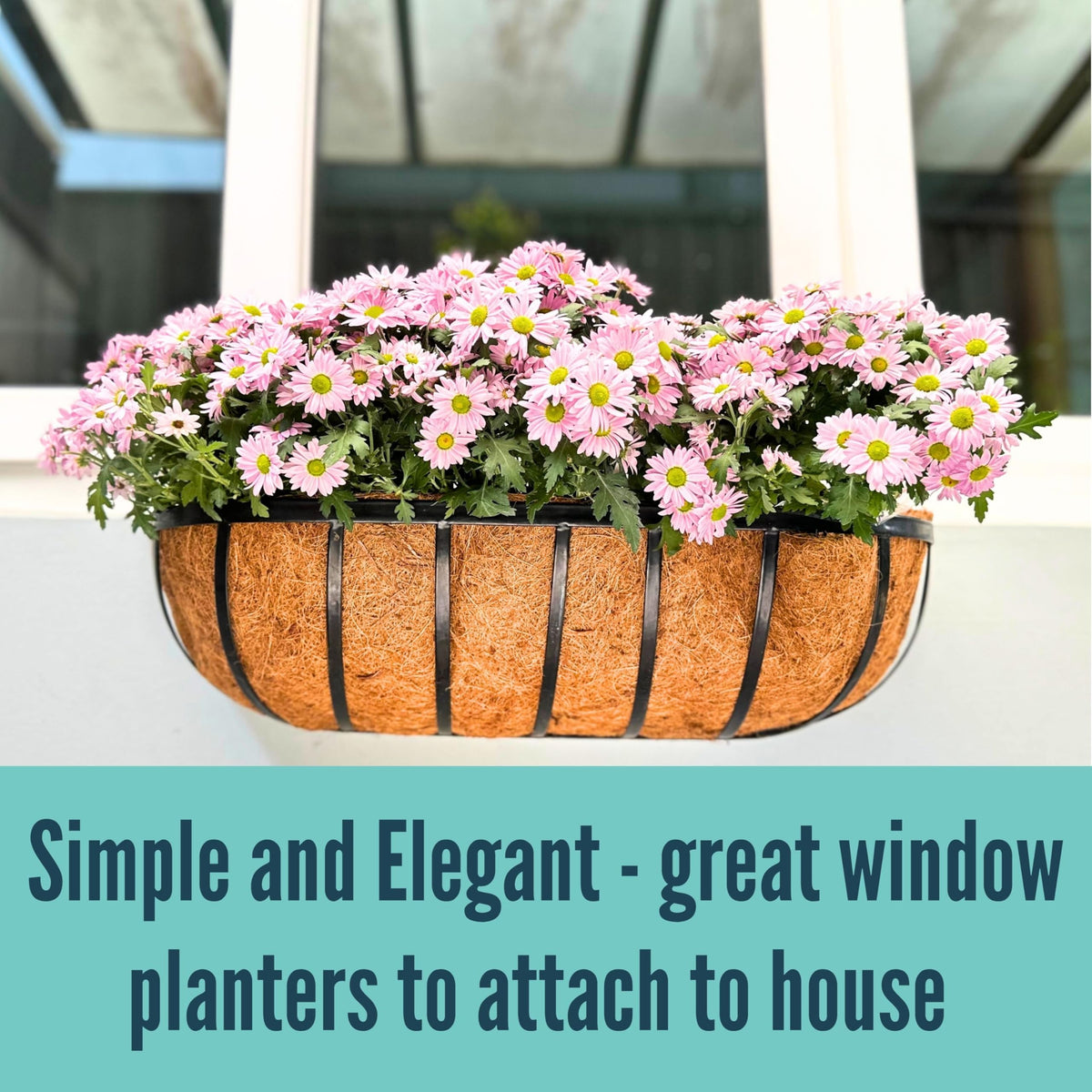 LáLáGreen rustic farmhouse planter elevating patio edge.