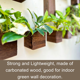 LáLáGreen small herb planter fits windowsills and kitchens