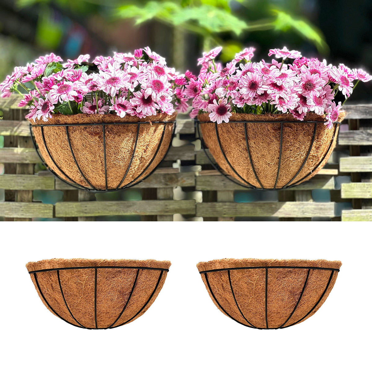 LáLáGreen wall-hanging planter in black metal, ideal for herbs and flowers, easy outdoor display.