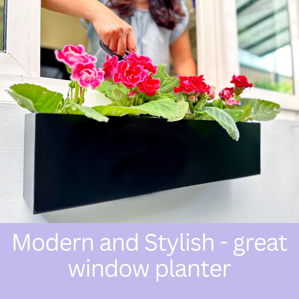 LáLáGreen planter mounted on wall demonstrates space-saving decor