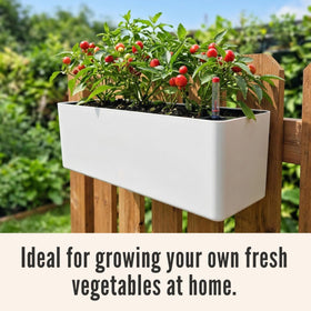 LaLaGreen weather-resistant plastic withstands sun and rain over seasons.