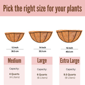 LáLáGreen hanging plant holder for window sills and walls.