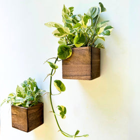 LáLáGreen wood planter box 4x4-2pack for compact indoor display
