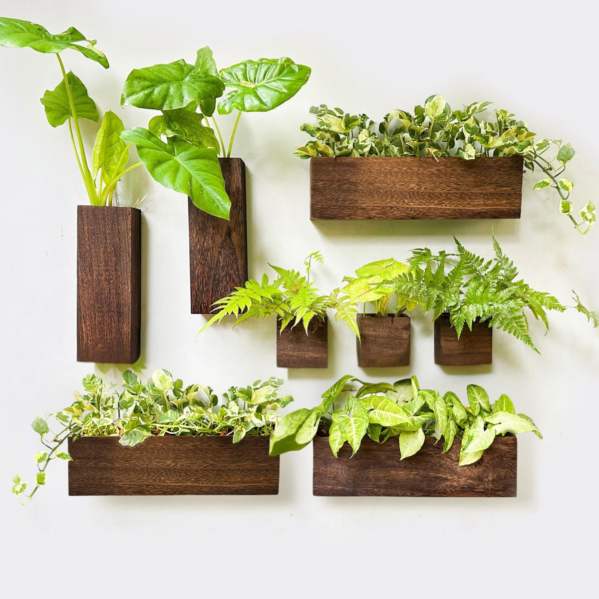 LáLáGreen wood planter box 8-pack for space-saving wall display of indoor plants.
