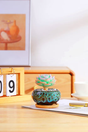 LamDawn bamboo saucer tray with pot protects surfaces and reduces water mess.