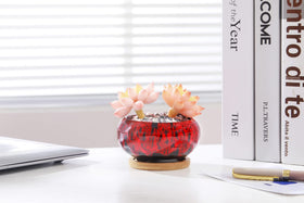LamDawn colorful glaze brings lively accent to any room.