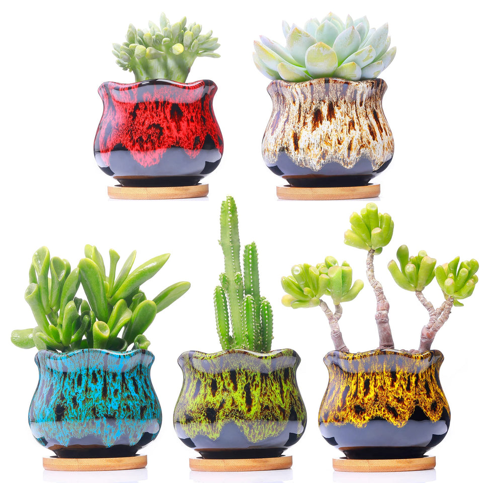 LamDawn cute ceramic succulent planters set of five on a sunny window ledge.