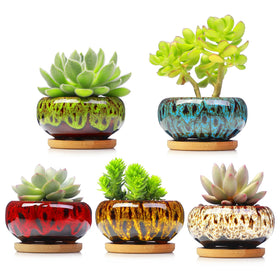 LamDawn cute ceramic succulent pot with textured finish for desk or shelf.