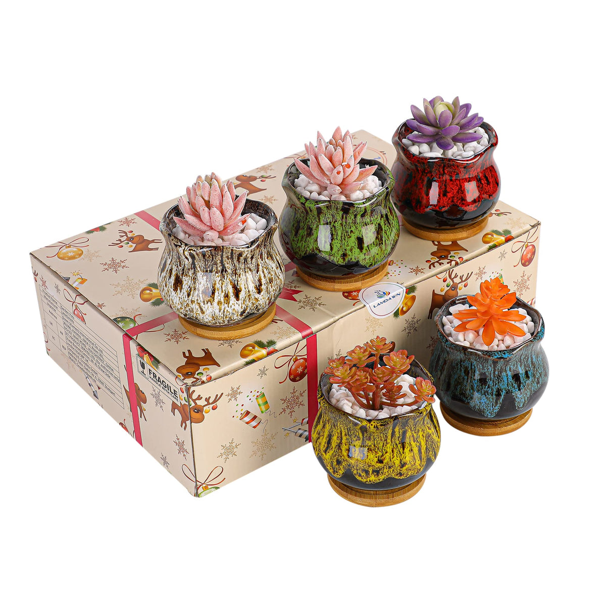 LamDawn compact pot height and weight support stable plant growth on desks.