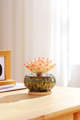 LamDawn indoor display with small plant on windowsill or desk.