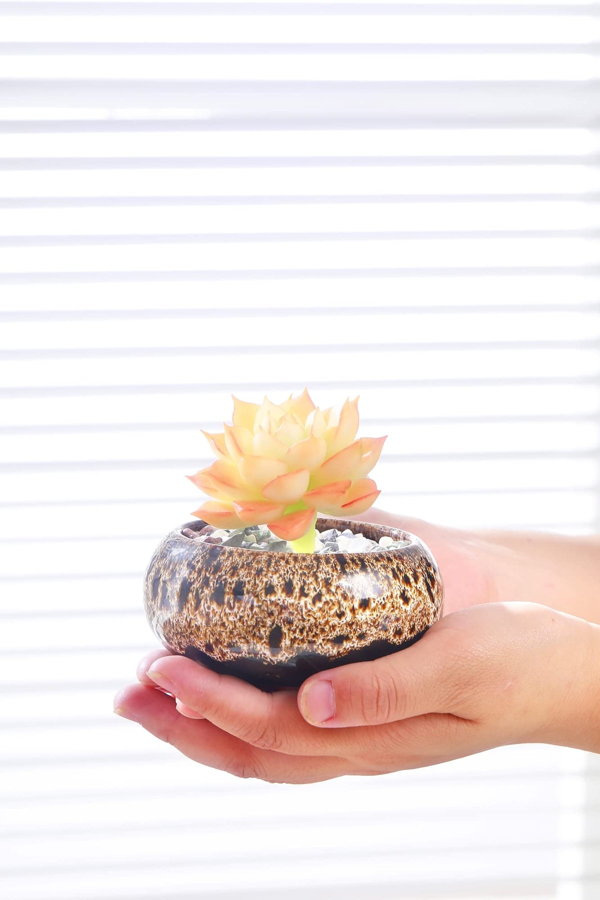 LamDawn set of five planters, gift-ready packaging for home or office décor.